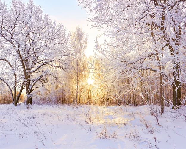Winter 2026